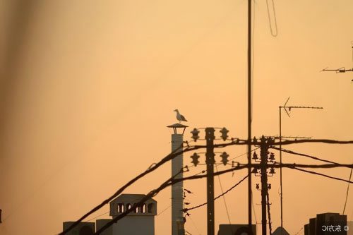 控制二次回路接線應(yīng)符合哪些要求?